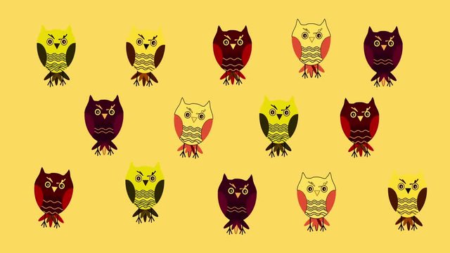 Funny background- dancing colorful cartoon owls. Motion design, animation. Yellow background. 
