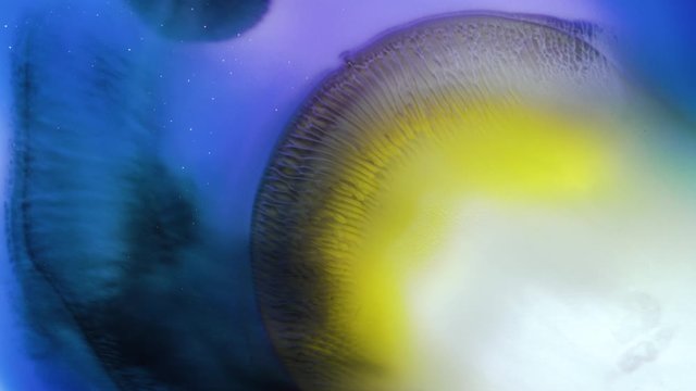 Abstract Liquid Art - Ink Colours - Yellow Purple Blue Black, UHD