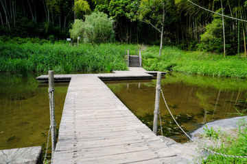 池の中を通る歩行橋