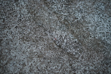 White old cement wall concrete backgrounds textured. Abstract vintage texture. Background from cracks, breaks, stains. Grunge cracks, damage