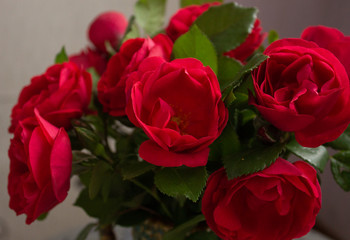 bouquet of red roses