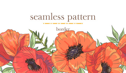 Seamless border pattern with colorful poppy. Seamless stripe with hand drawn. Vector illustration