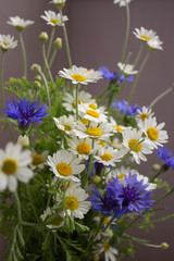bouquet of daisies and cornflowers