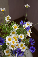 bouquet of daisies and cornflowers