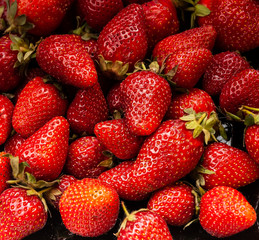 Close-up of fresh tasty strawberries. Ripe strawberry background