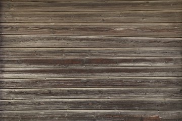 Fototapeta premium The texture of the tree is burnt out in the sun and weathered