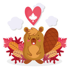 Beaver with maple leaf heart of happy canada day vector design