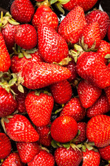 Close-up of fresh tasty strawberries. Ripe strawberry background