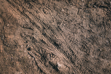 Shoe prints and tire prints in muddy surface.