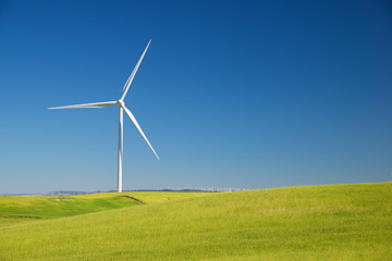 Fototapeta premium Renewable energy concept