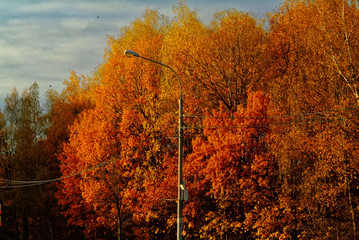 Golden autumn on the outskirts of the city, Moscow