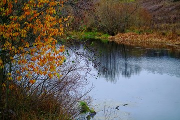 little river in cloudy autumn, Russia