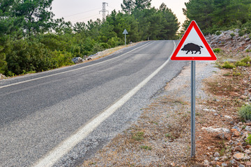 Boar crossig sign with copy space on a beautiful mountain road background.