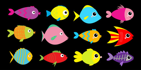 Fish icon set. Cute cartoon kawaii colorful aquarium animals. Baby kids collection. Black background. Isolated. Flat design