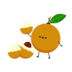 Longan character design. Longan on white background.