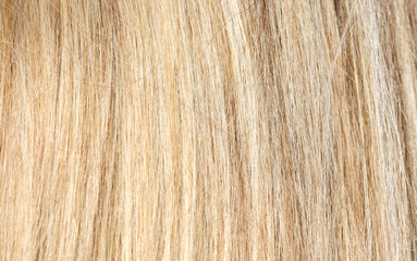 Blonde hair as an abstract background.