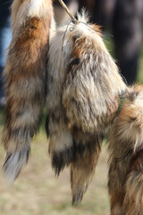 Fur with the skin of a fox