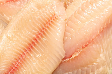 Fototapeta premium Tilapia fish fillet as background.