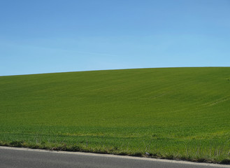 green field under a blue sky.