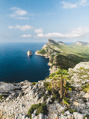 Fototapeta na wymiar Amazing Landscape at the coast, sea, palmtrees and rocks. Colomer Mallorca, Spain