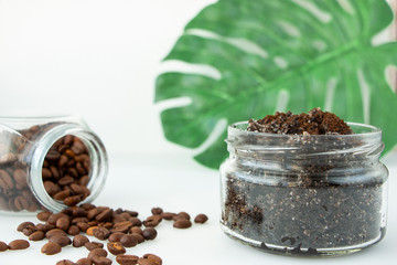 Body scrub from ground coffee and sugar in a glass jar on a background of green leaf monstera. Homemade peeling and spa care product.