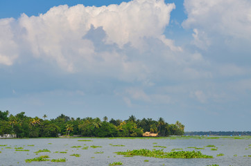 A houseboat docked in a beautiful Kerala Backwaters Landscape