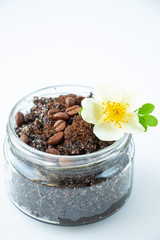 Body scrub made from coffee and sugar in a glass jar and a white flower on a white background. The concept of home spa care and beauty. Vertical image.