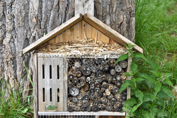 hotel insecte refuge bio divesité