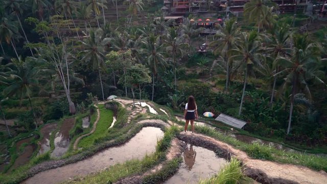 travel woman in rice field exploring lush green rice terrace walking in cultural landscape exotic vacation through bali indonesia discover asia