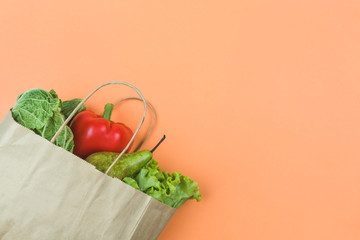 Paper bag with vegetables on a beige background