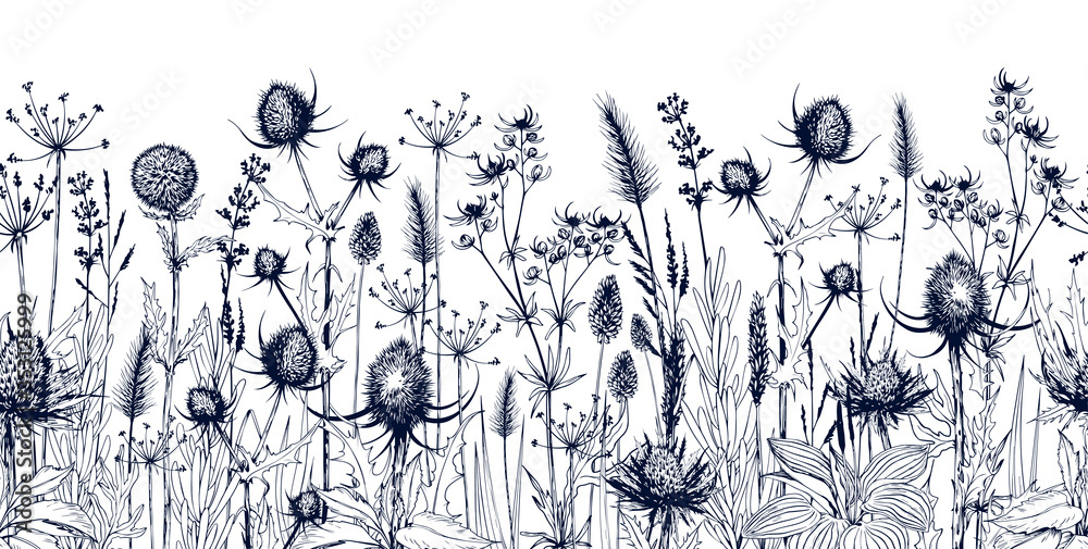 Wall mural seamless horizontal background with meadow wild herbs and flowers.