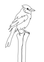 One continuous line drawing,  a birds, 