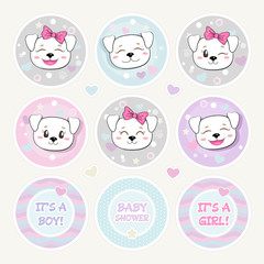 Obraz premium Lovely Baby Shower Round Shape Tag Set. Cute Puppies Stickers. Funny baby dog with bow, tiny hearts and stars. It's a Boy. It's a Girl. Infantile Childish Design. Pastel colors.