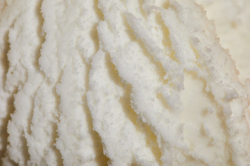 close up view of fresh white tasty textured ice cream ball