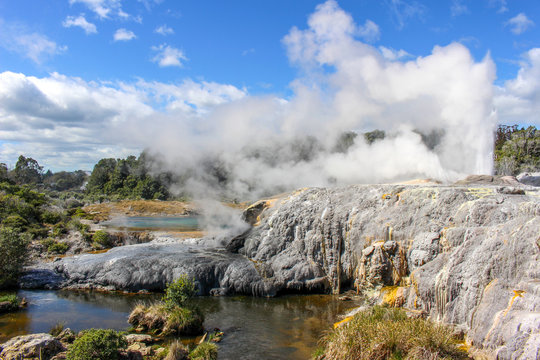 Pohutu Geyser at Te Puia Thermal Reserve, Rotorua, New Zealand