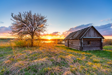 Old wooden hut and lonely tree at sunset in countryside at spring