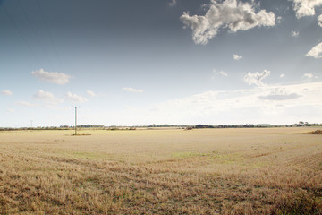 empty field in norfolk