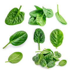 Spinach leaves  Set  isolated on white background. Fresh green spinach collection. Top view. Flat...