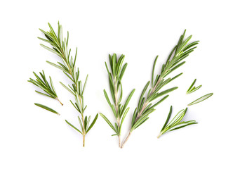 fresh rosemary isolated on white background