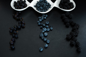 Set of different types of black berries in a white plate on a black table. Stylish seasonal vitamins