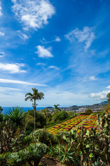 Fototapeta na wymiar Madeira Botanical Garden