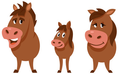 Horse family in cartoon style. Farm animals of different sex and age.
