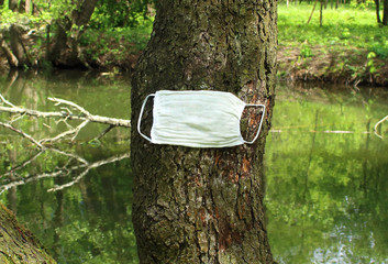 Tree in nature are protected from a pandemic with medical masks