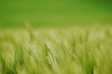 Schönhagen Ostsee Steilküste Mai 2020