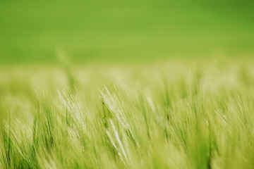 Schönhagen Ostsee Steilküste Mai 2020