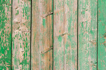 Wooden background. An old rustic wooden fence with peeling green paint, cracks and nails.