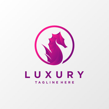 Luxury sea horse logo illustration Premium Vector