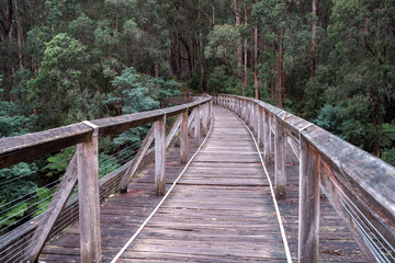 Obraz premium Historical Noojee Trestle Bridge - a legacy of the old railway originally built in 1919
