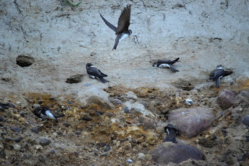 Sch&ouml;nhagen Ostsee Steilk&uuml;ste Mai 2020