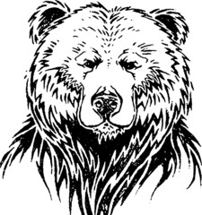 Hand drawn wild animal. Bear. Vector isolated on a transparent background